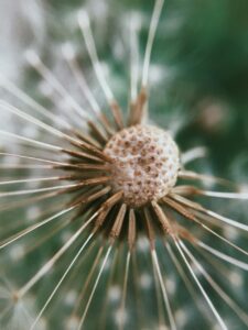 WhatsApp Image 2026-02-13 at 8.02.40 PM (1)