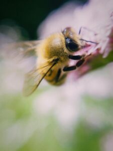 WhatsApp Image 2026-02-13 at 8.06.47 PM (2)