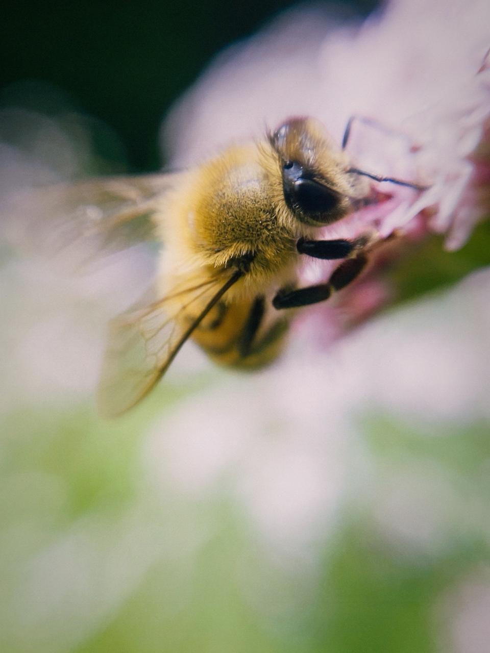 WhatsApp Image 2026-02-13 at 8.06.47 PM