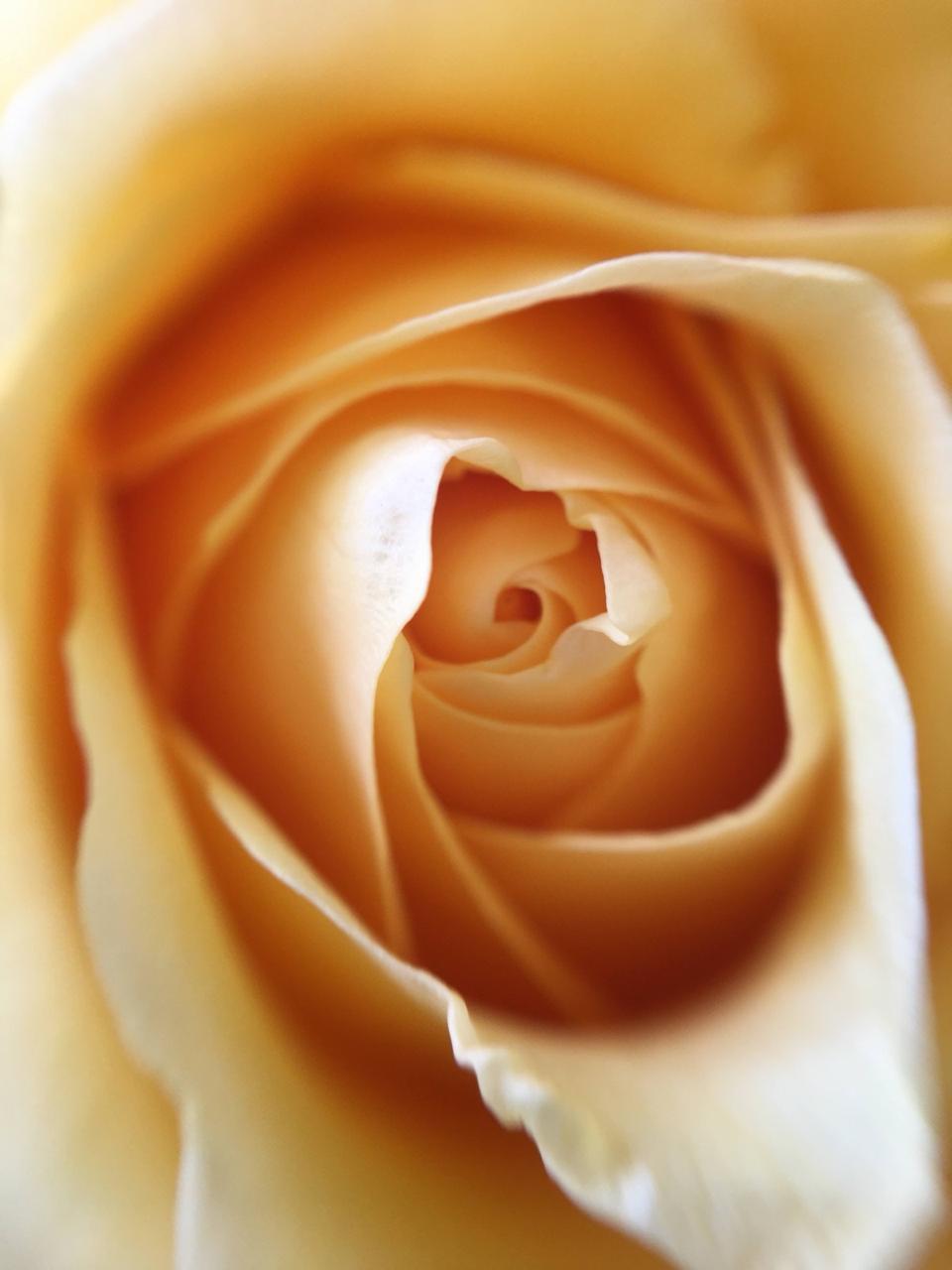 WhatsApp Image 2026-02-13 at 8.08.50 PM