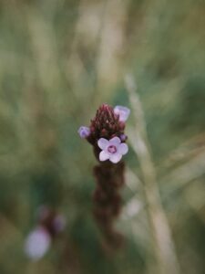 WhatsApp Image 2026-02-13 at 8.09.37 PM (1)