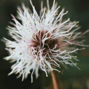 WhatsApp Image 2026-02-13 at 8.10.10 PM (1)