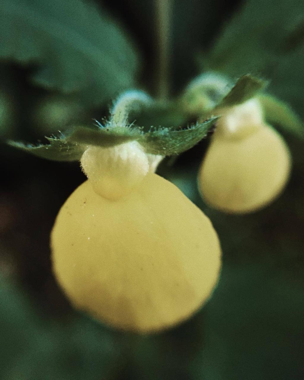 WhatsApp Image 2026-02-13 at 8.10.30 PM (1)