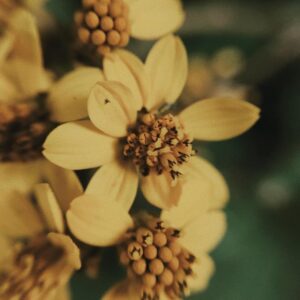 WhatsApp Image 2026-02-13 at 8.10.57 PM (1)