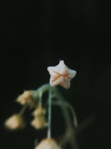 WhatsApp Image 2026-02-13 at 8.11.53 PM (1)