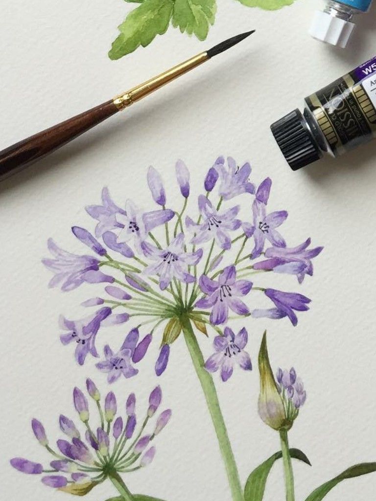 a64cd9bcb4392ad064f79102a9648b13