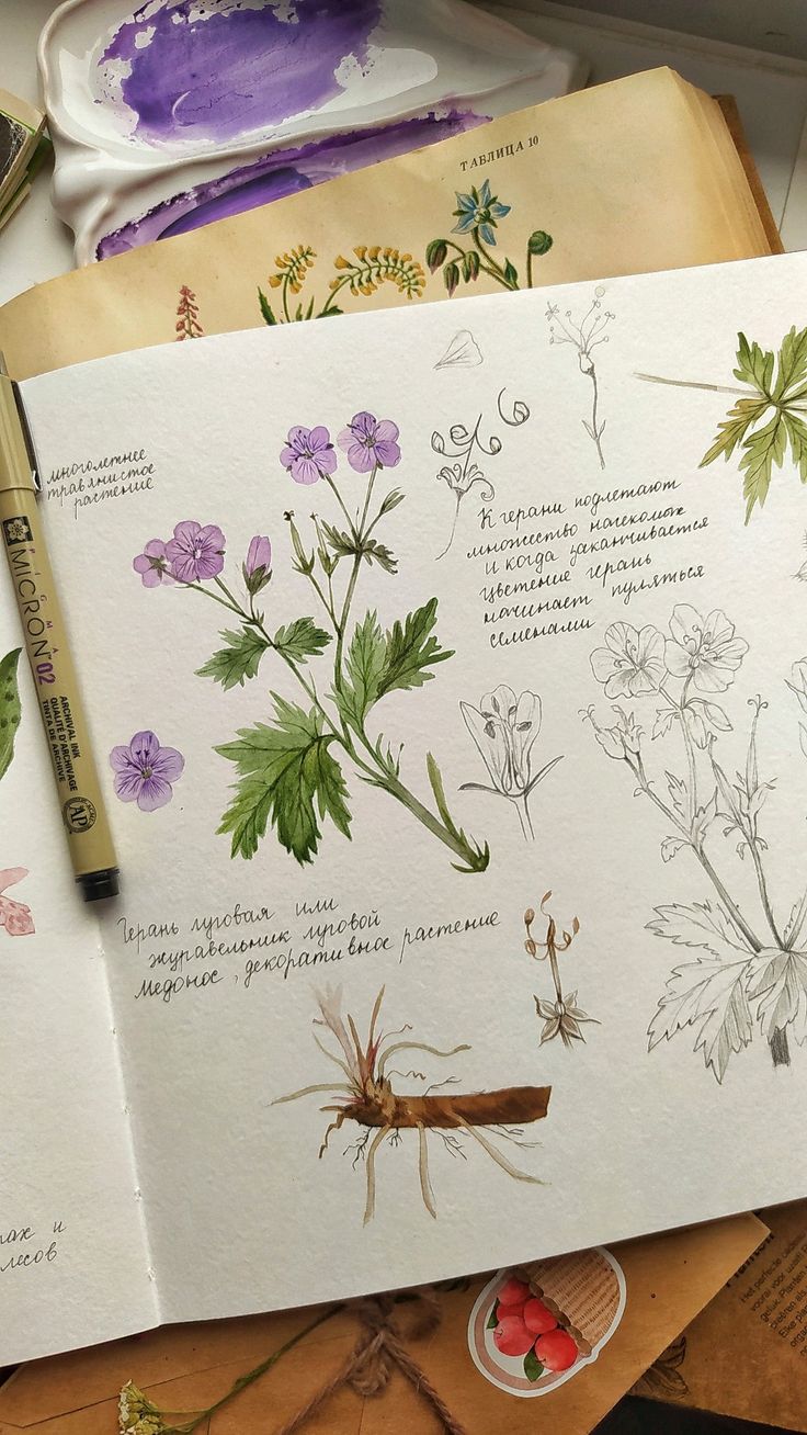 c70ba81fa2f6c37d7c2b3ae49078e35a